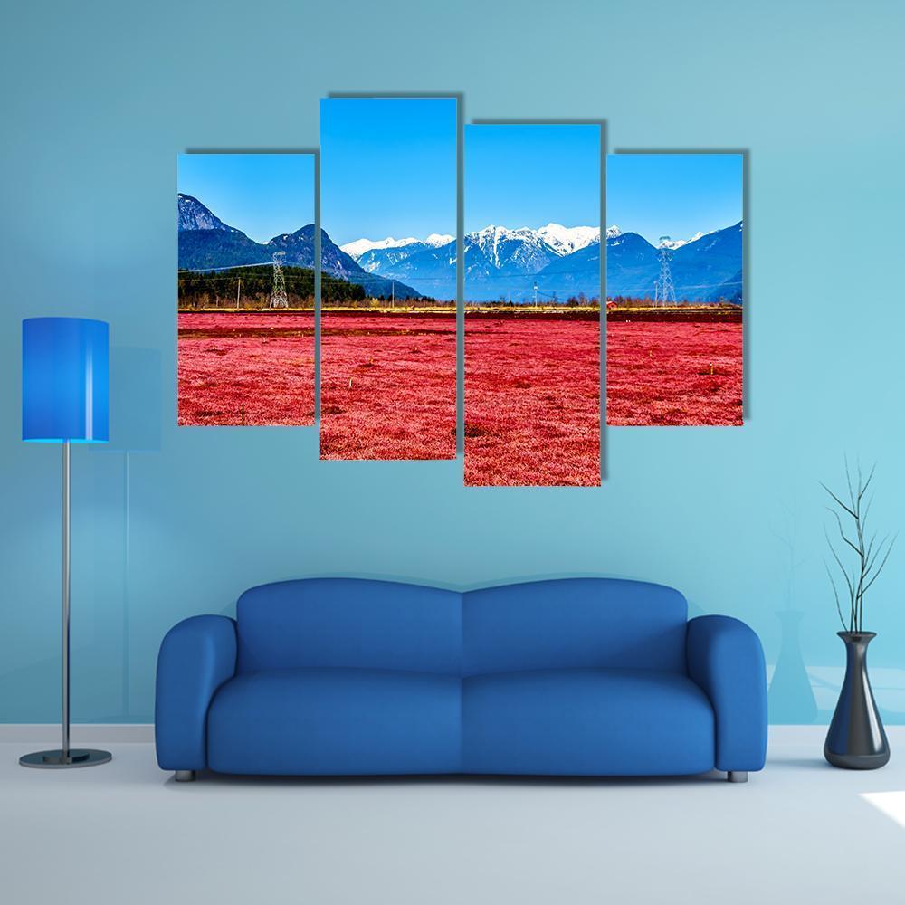 Cranberry Field Canvas Wall Art-4 Pop-Gallery Wrap-50" x 32"-Tiaracle
