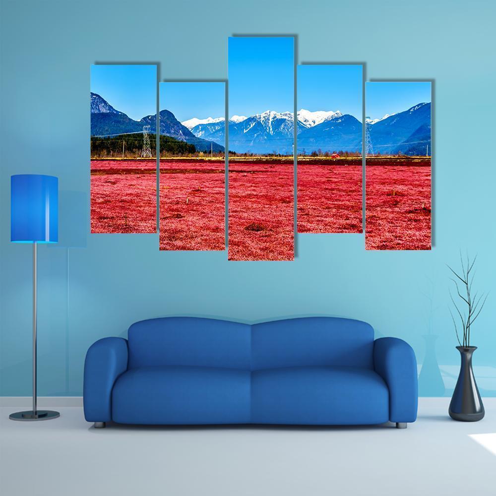 Cranberry Field Canvas Wall Art-5 Pop-Gallery Wrap-47" x 32"-Tiaracle