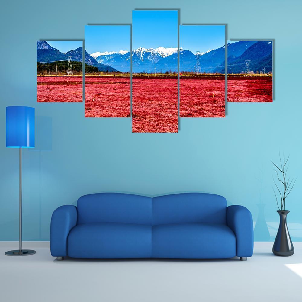 Cranberry Field Canvas Wall Art-5 Star-Gallery Wrap-62" x 32"-Tiaracle