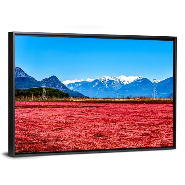 Cranberry Field Canvas Wall Art-3 Horizontal-Gallery Wrap-25" x 16"-Tiaracle