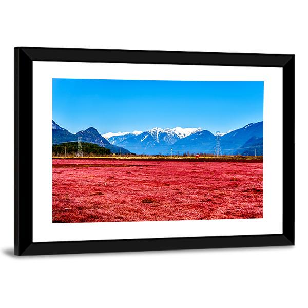 Cranberry Field Canvas Wall Art-3 Horizontal-Gallery Wrap-25" x 16"-Tiaracle