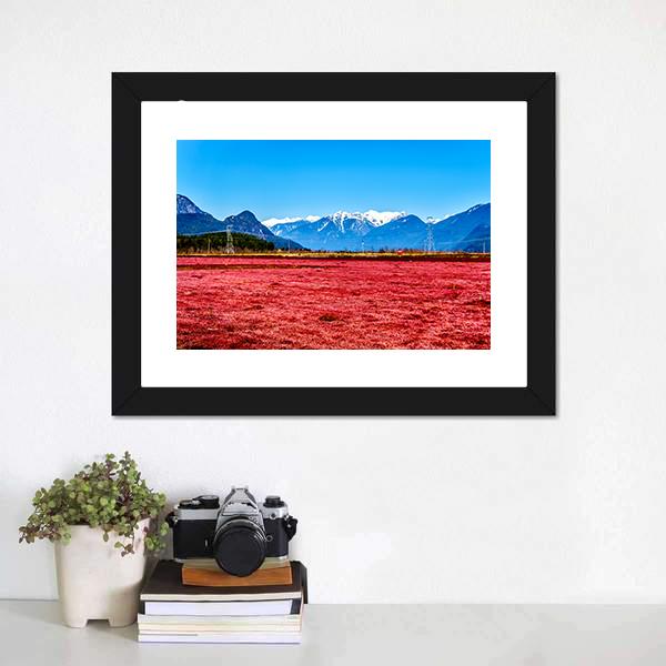 Cranberry Field Canvas Wall Art-3 Horizontal-Gallery Wrap-25" x 16"-Tiaracle