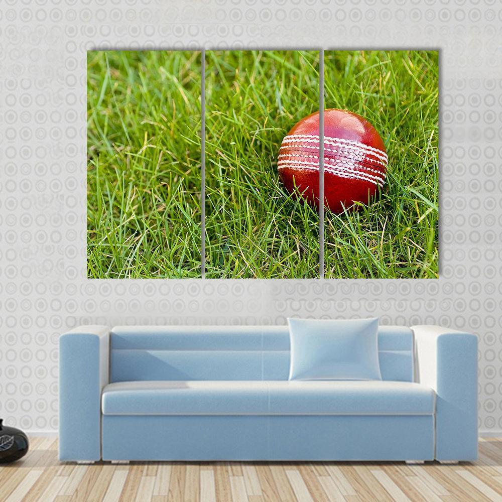 Cricket Ball Canvas Wall Art-3 Horizontal-Gallery Wrap-37&quot; x 24&quot;-Tiaracle