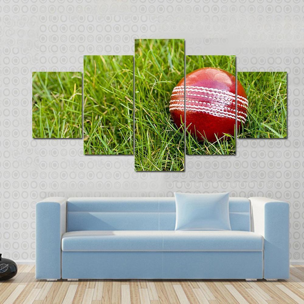 Cricket Ball Canvas Wall Art-5 Pop-Gallery Wrap-47" x 32"-Tiaracle