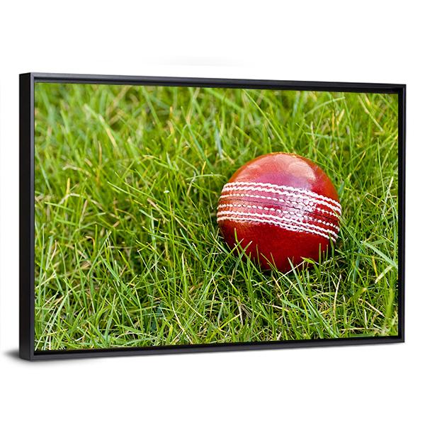 Cricket Ball Canvas Wall Art-3 Horizontal-Gallery Wrap-25&quot; x 16&quot;-Tiaracle