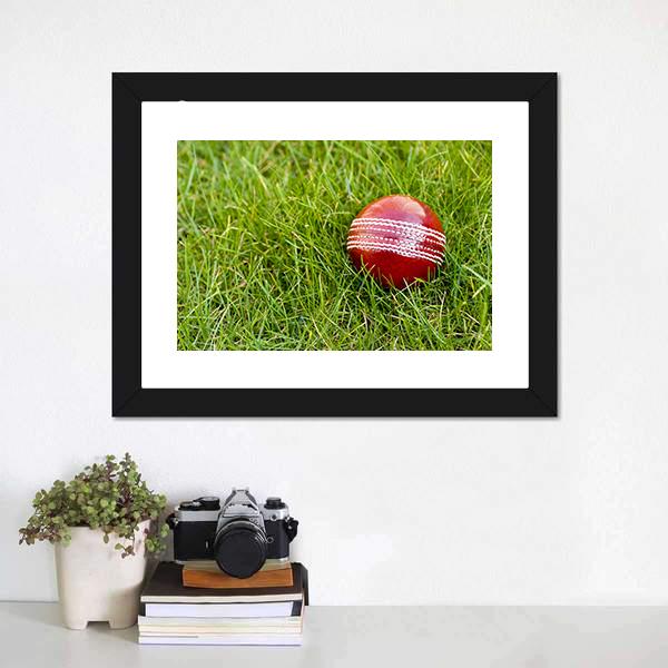 Cricket Ball Canvas Wall Art-3 Horizontal-Gallery Wrap-25&quot; x 16&quot;-Tiaracle