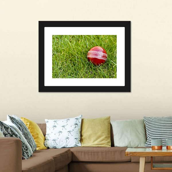 Cricket Ball Canvas Wall Art-1 Piece-Framed Print-20&quot; x 16&quot;-Tiaracle