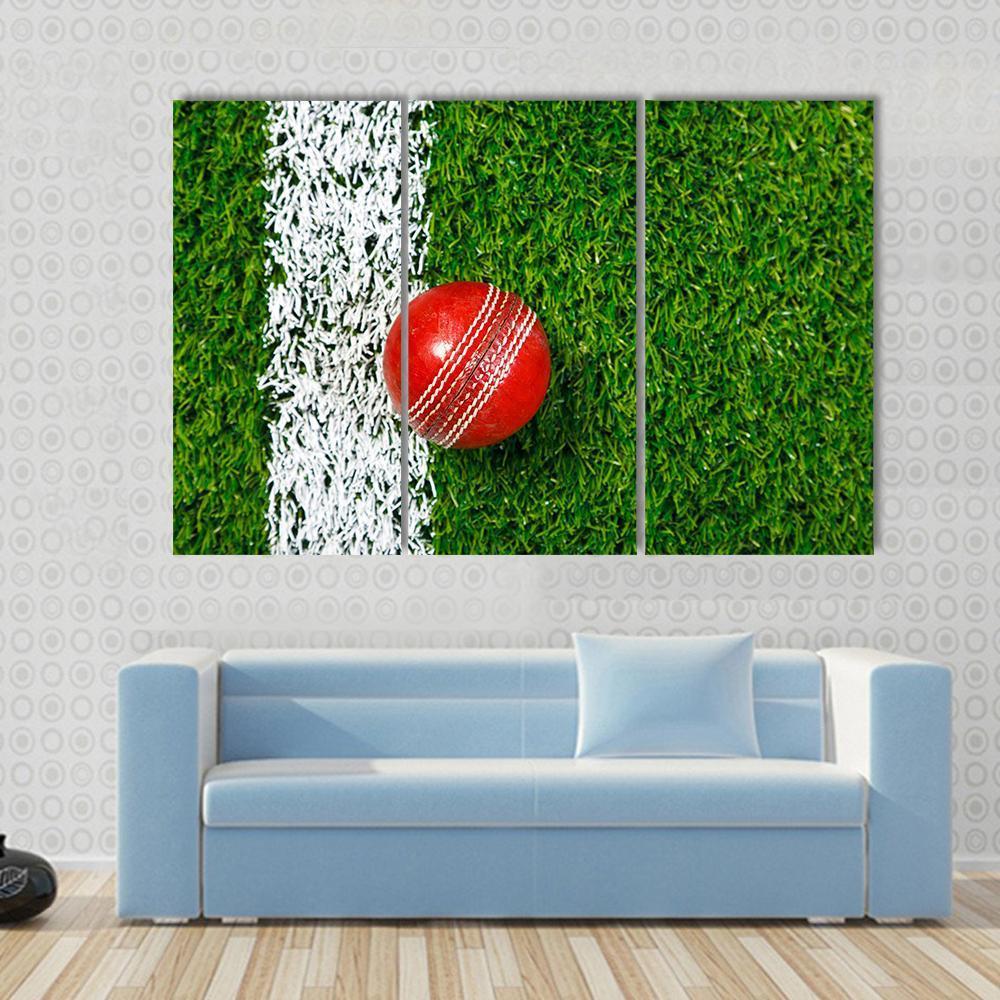 Cricket Ball On Grass Canvas Wall Art-3 Horizontal-Gallery Wrap-37&quot; x 24&quot;-Tiaracle