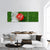 Cricket Ball On Grass Panoramic Canvas Wall Art-3 Piece-25" x 08"-Tiaracle