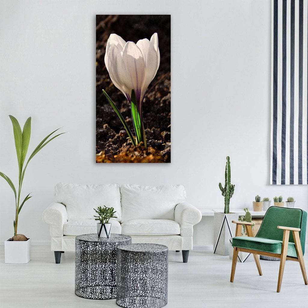 White Crocus Vertical Canvas Wall Art-3 Vertical-Gallery Wrap-12" x 25"-Tiaracle
