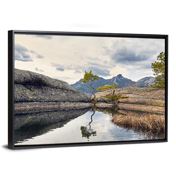 Curved Pine On Lake Canvas Wall Art-3 Horizontal-Gallery Wrap-25" x 16"-Tiaracle