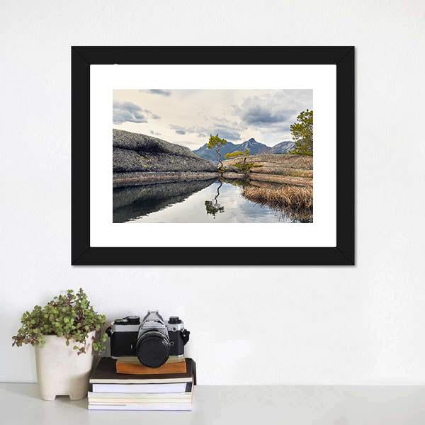 Curved Pine On Lake Canvas Wall Art-1 Piece-Framed Print-20" x 16"-Tiaracle