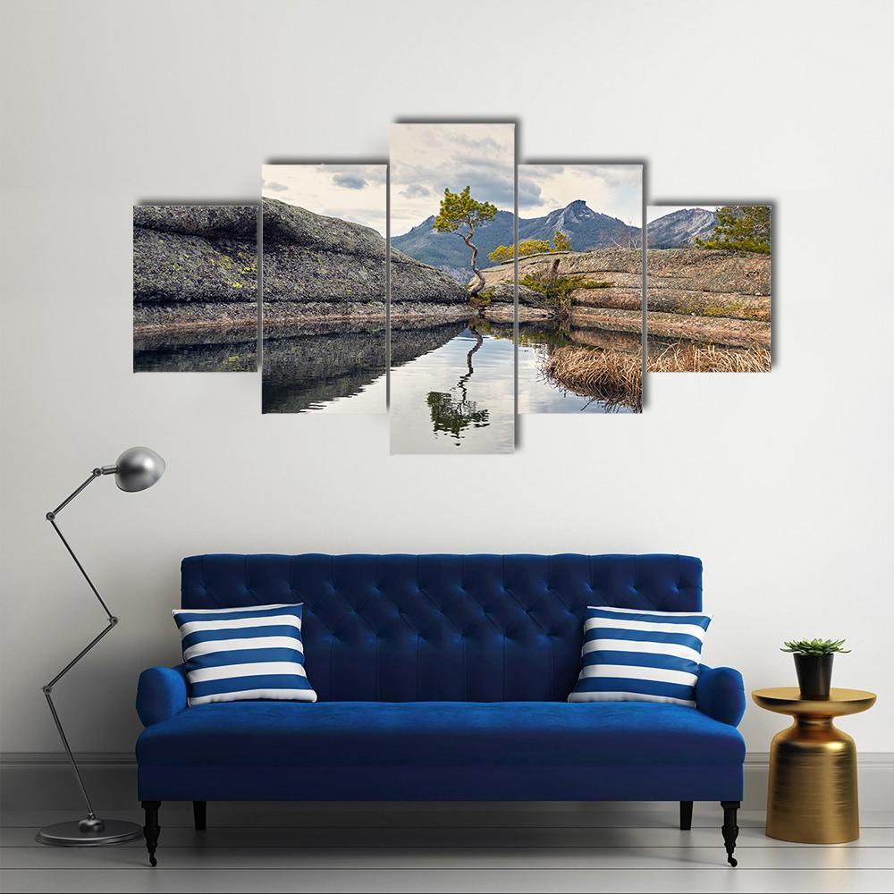 Curved Pine On Lake Canvas Wall Art-5 Star-Gallery Wrap-62" x 32"-Tiaracle