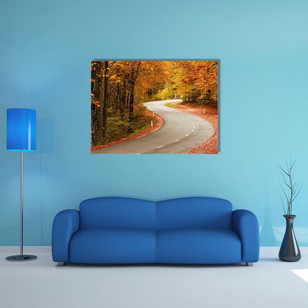 Curved Road In The Autumnal Forest Slovenia Canvas Wall Art-1 Piece-Gallery Wrap-36" x 24"-Tiaracle