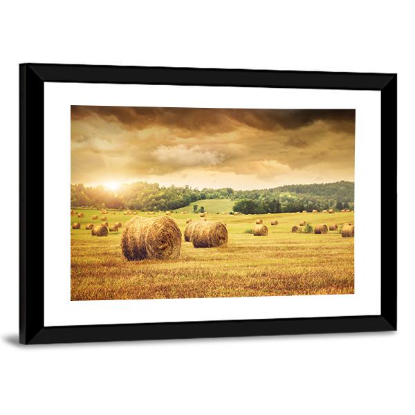 Cut Bales Of Hay Canvas Wall Art-5 Horizontal-Gallery Wrap-22" x 12"-Tiaracle