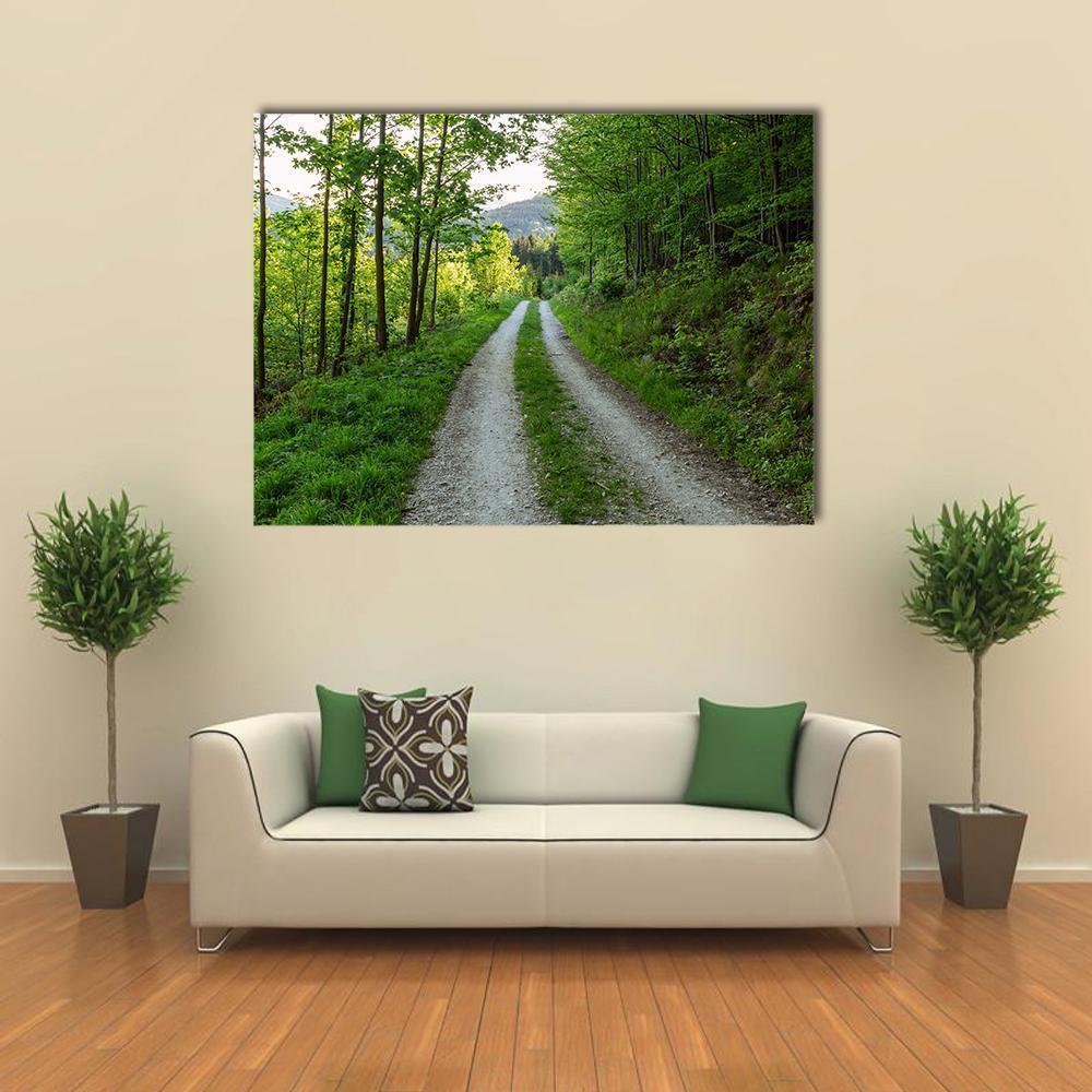 Cycling Road in Forest Canvas Wall Art in white, gray and green, single panel hung on a wall