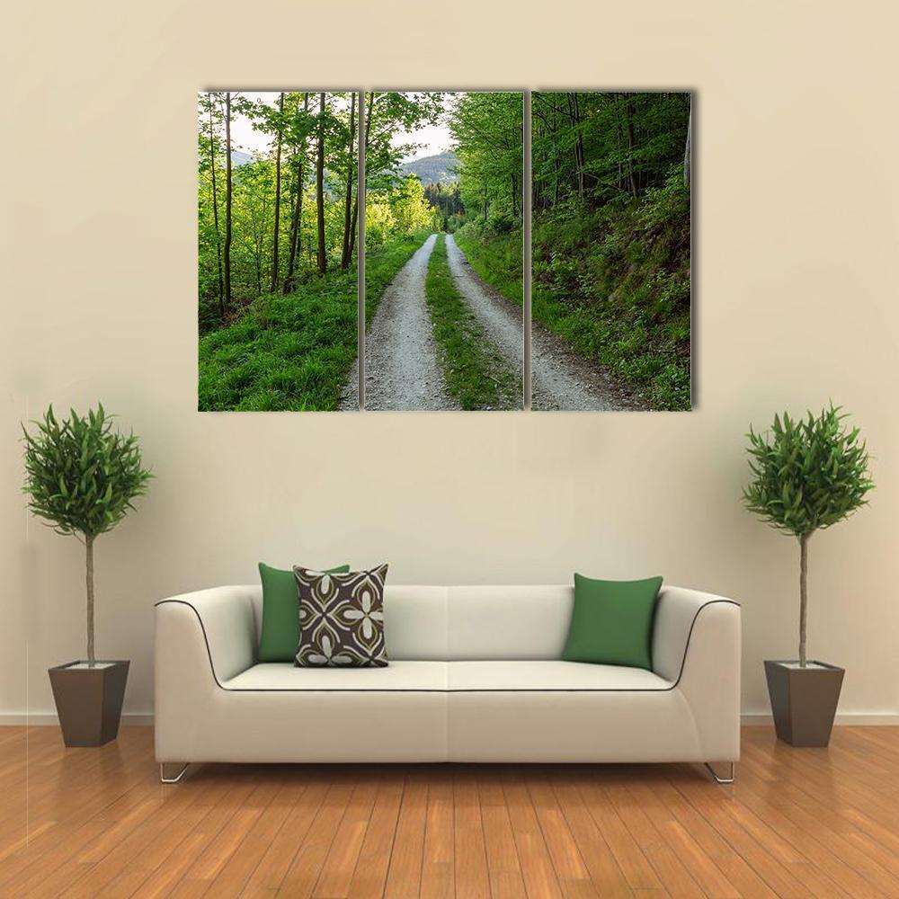 Cycling Road In Forest Canvas Wall Art-3 Horizontal-Gallery Wrap-37" x 24"-Tiaracle