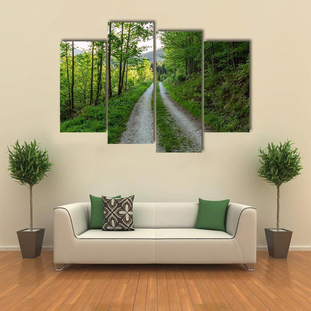Cycling Road In Forest Canvas Wall Art-4 Pop-Gallery Wrap-50" x 32"-Tiaracle