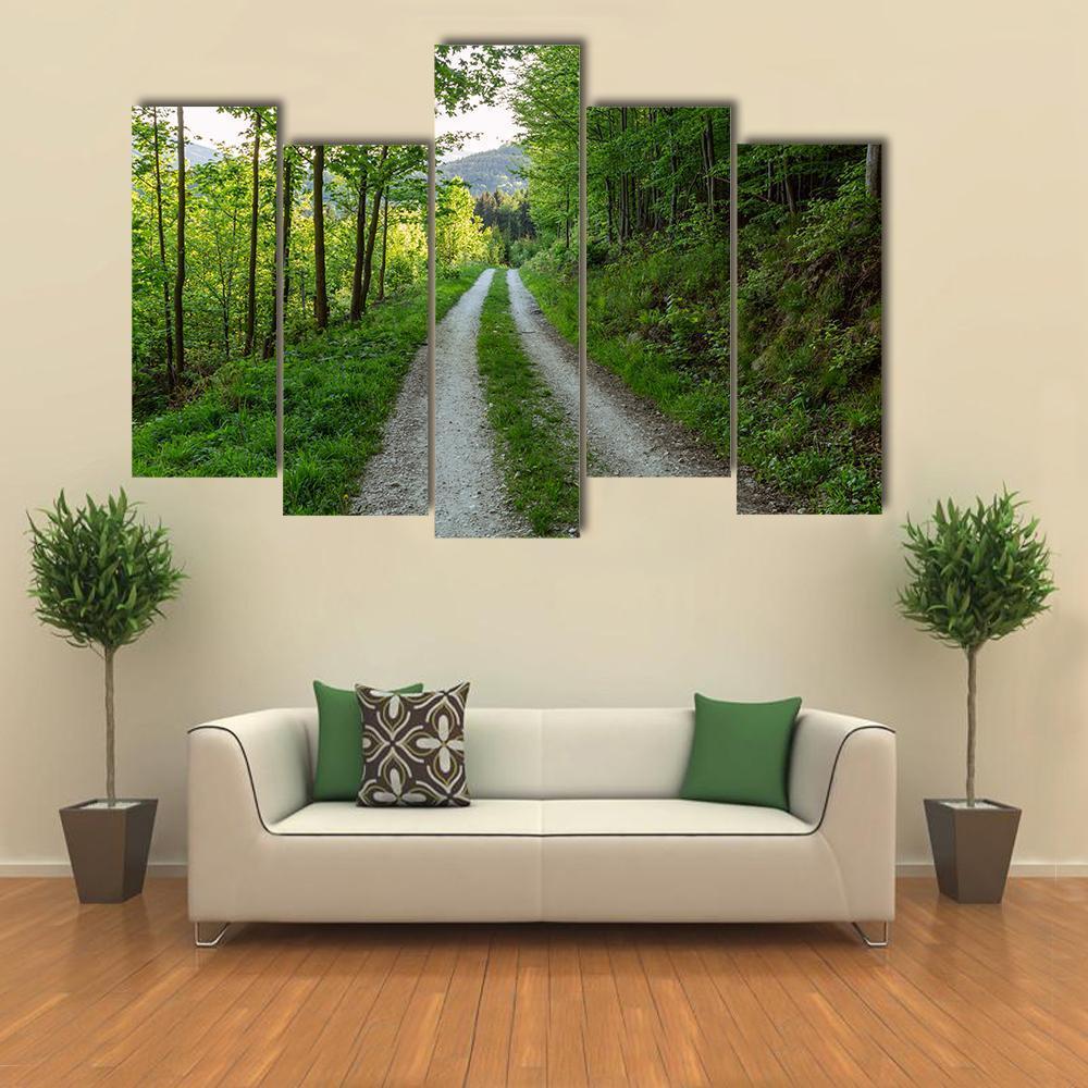 Cycling Road In Forest Canvas Wall Art-5 Pop-Gallery Wrap-47" x 32"-Tiaracle