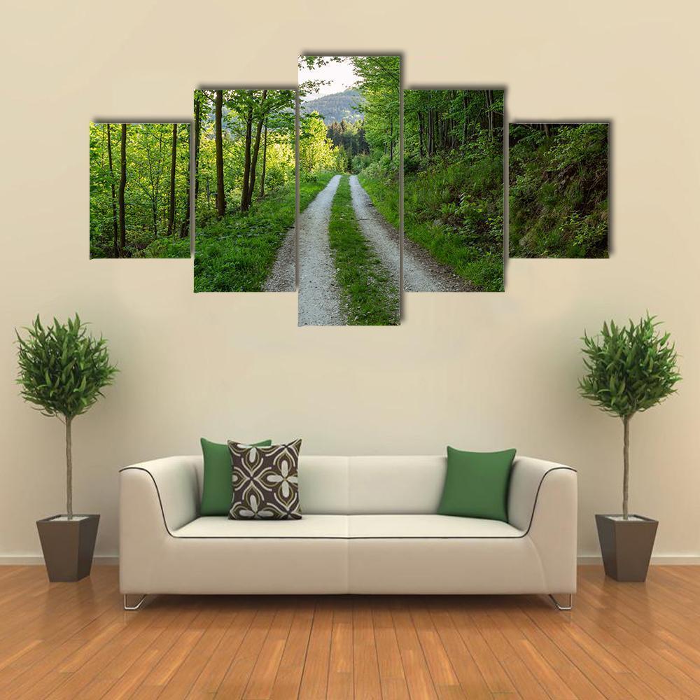 Cycling Road In Forest Canvas Wall Art-5 Star-Gallery Wrap-62" x 32"-Tiaracle