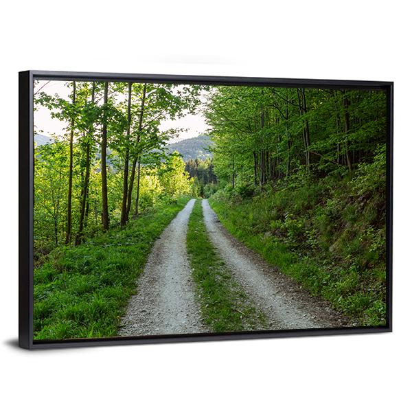 Cycling Road In Forest Canvas Wall Art-3 Horizontal-Gallery Wrap-25" x 16"-Tiaracle