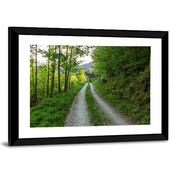 Cycling Road In Forest Canvas Wall Art-3 Horizontal-Gallery Wrap-25" x 16"-Tiaracle