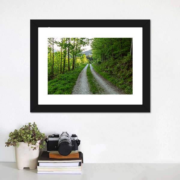 Cycling Road In Forest Canvas Wall Art-3 Horizontal-Gallery Wrap-25" x 16"-Tiaracle