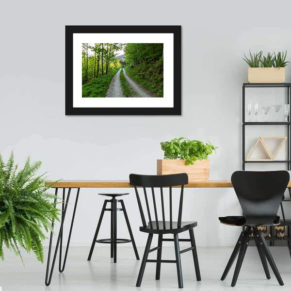 Cycling Road In Forest Canvas Wall Art-3 Horizontal-Gallery Wrap-25" x 16"-Tiaracle