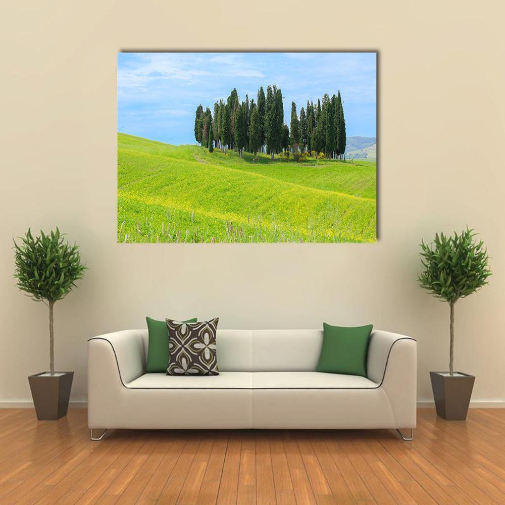 Cypress Trees in Tuscany Canvas Wall Art in green and blue, single panel hung on a wall