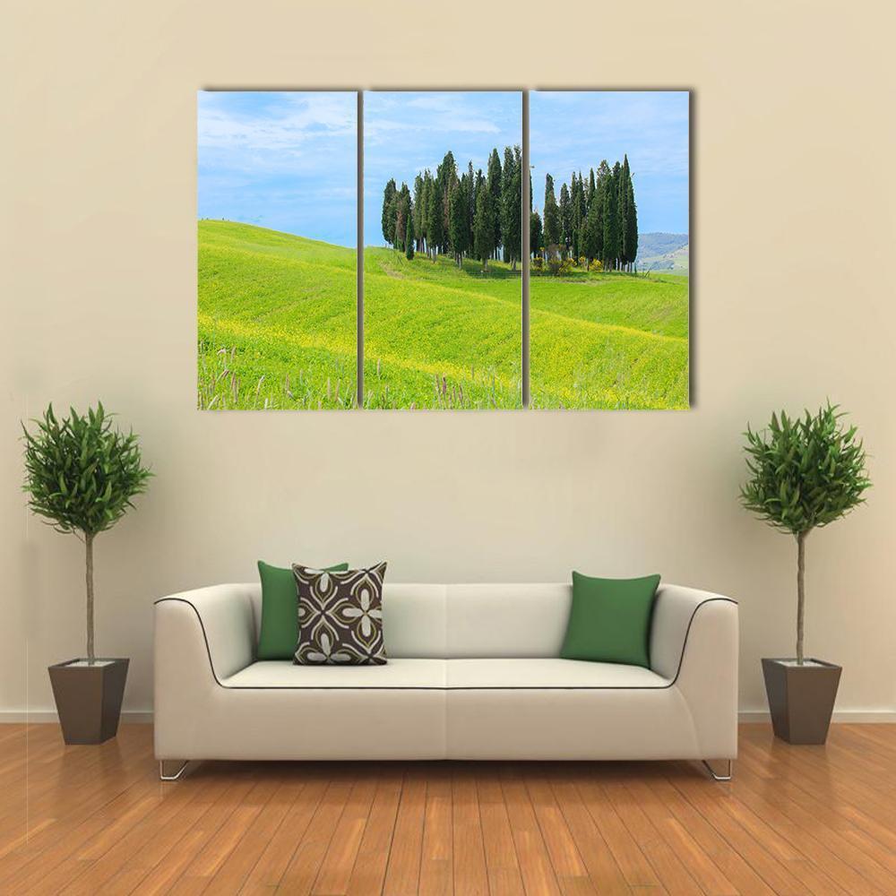 Cypress Trees In Tuscany Canvas Wall Art-3 Horizontal-Gallery Wrap-37" x 24"-Tiaracle