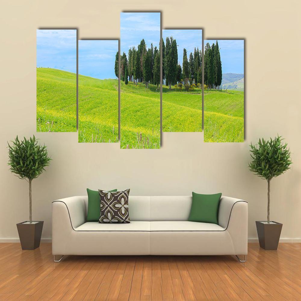 Cypress Trees In Tuscany Canvas Wall Art-5 Pop-Gallery Wrap-47" x 32"-Tiaracle