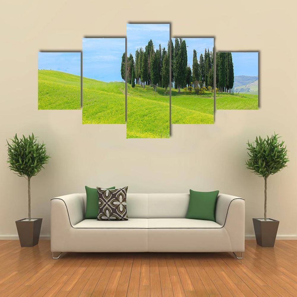Cypress Trees In Tuscany Canvas Wall Art-5 Star-Gallery Wrap-62" x 32"-Tiaracle