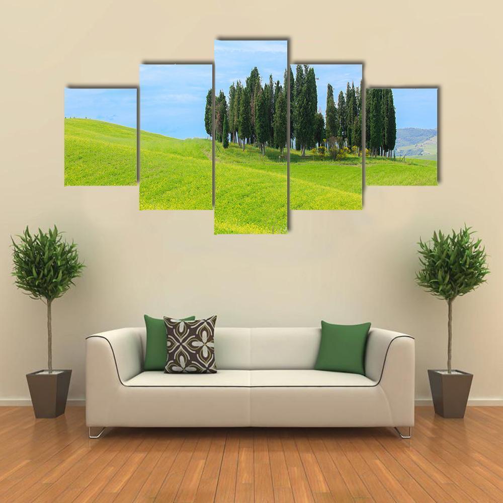 Cypress Trees In Tuscany Canvas Wall Art-4 Pop-Gallery Wrap-50" x 32"-Tiaracle