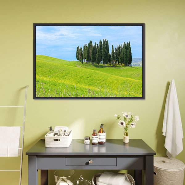 Cypress Trees In Tuscany Canvas Wall Art-3 Horizontal-Gallery Wrap-25" x 16"-Tiaracle