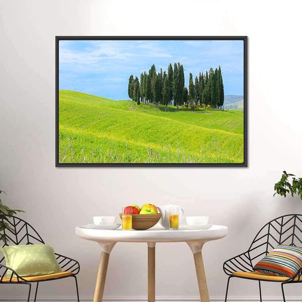 Cypress Trees In Tuscany Canvas Wall Art-1 Piece-Floating Frame-24" x 16"-Tiaracle