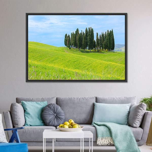 Cypress Trees In Tuscany Canvas Wall Art-3 Horizontal-Gallery Wrap-25" x 16"-Tiaracle