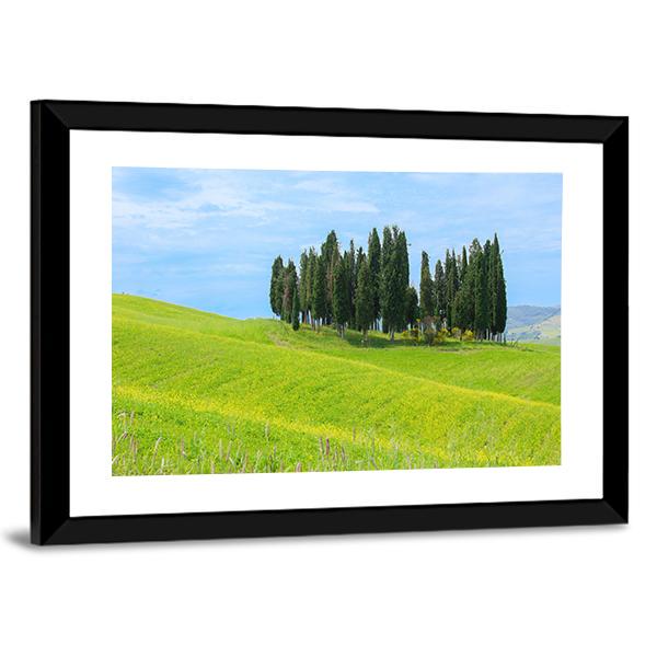 Cypress Trees In Tuscany Canvas Wall Art-3 Horizontal-Gallery Wrap-25" x 16"-Tiaracle