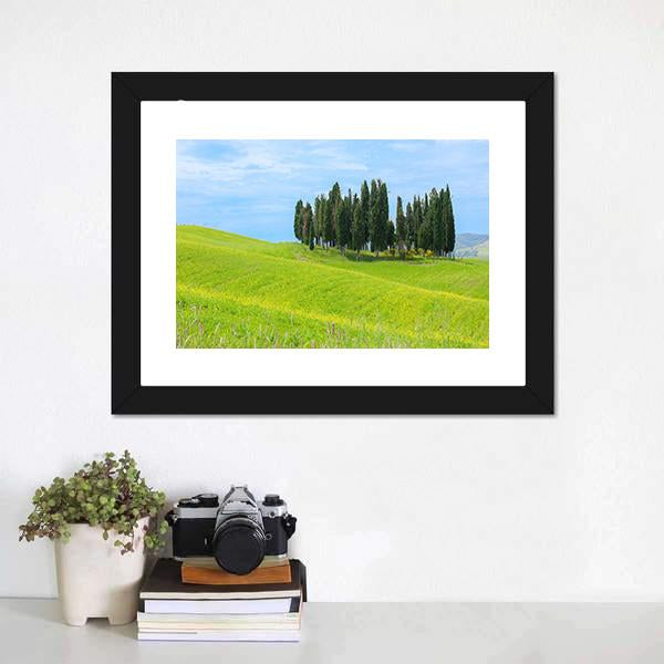Cypress Trees In Tuscany Canvas Wall Art-3 Horizontal-Gallery Wrap-25" x 16"-Tiaracle