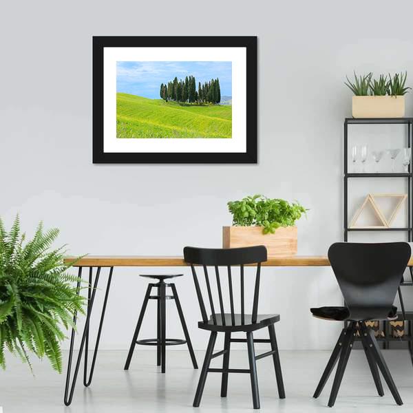 Cypress Trees In Tuscany Canvas Wall Art-3 Horizontal-Gallery Wrap-25" x 16"-Tiaracle