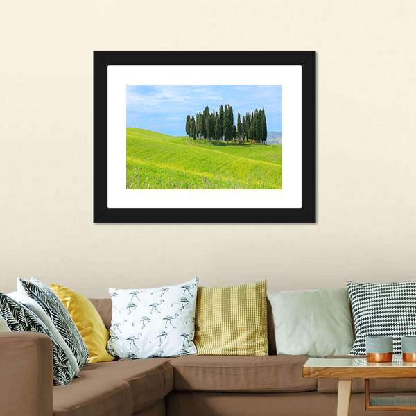 Cypress Trees In Tuscany Canvas Wall Art-1 Piece-Framed Print-20" x 16"-Tiaracle