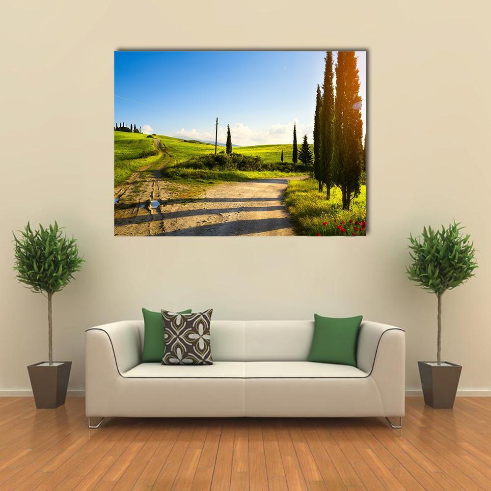 Cypress Trees On Mountain Canvas Wall Art-1 Piece-Gallery Wrap-48" x 32"-Tiaracle