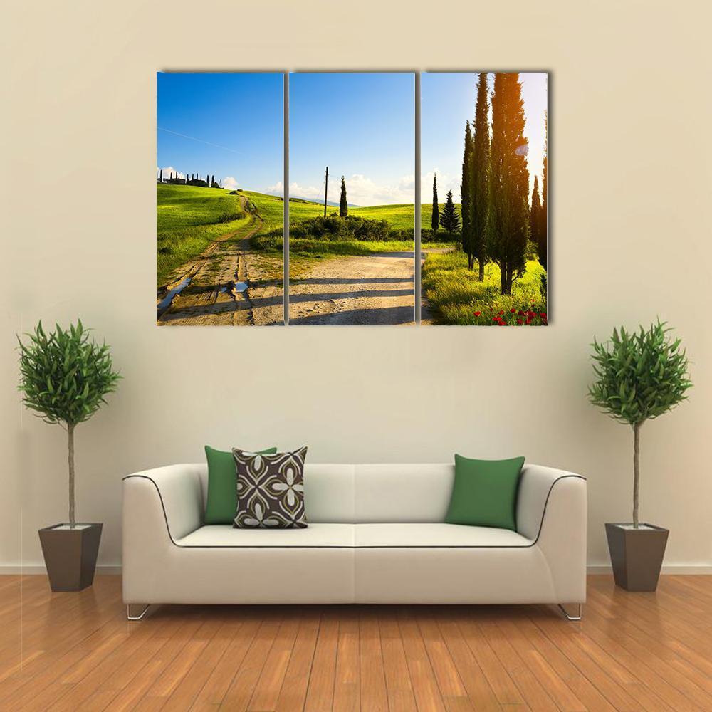 Cypress Trees On Mountain Canvas Wall Art-3 Horizontal-Gallery Wrap-37" x 24"-Tiaracle