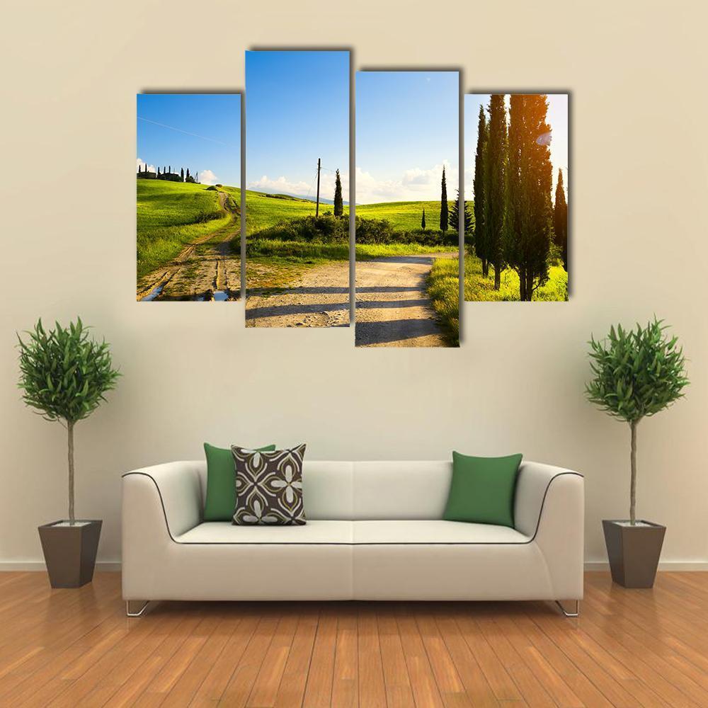 Cypress Trees On Mountain Canvas Wall Art-4 Pop-Gallery Wrap-50" x 32"-Tiaracle