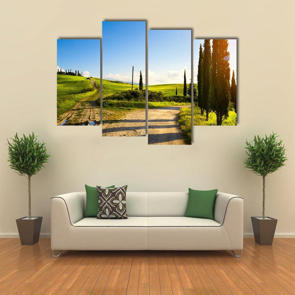 Cypress Trees On Mountain Canvas Wall Art-5 Pop-Gallery Wrap-47" x 32"-Tiaracle