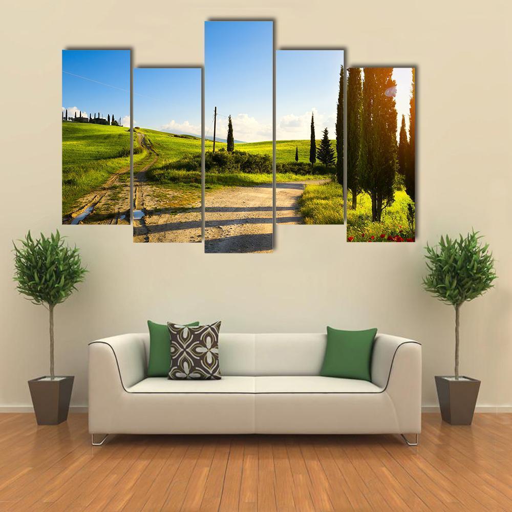 Cypress Trees On Mountain Canvas Wall Art-5 Pop-Gallery Wrap-47" x 32"-Tiaracle