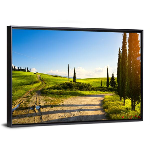Cypress Trees On Mountain Canvas Wall Art-3 Horizontal-Gallery Wrap-25" x 16"-Tiaracle