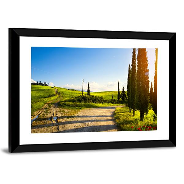 Cypress Trees On Mountain Canvas Wall Art-3 Horizontal-Gallery Wrap-25" x 16"-Tiaracle