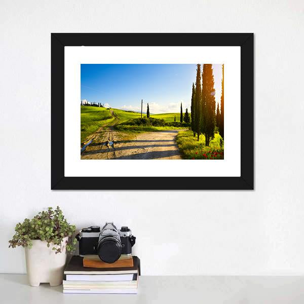 Cypress Trees On Mountain Canvas Wall Art-3 Horizontal-Gallery Wrap-25" x 16"-Tiaracle