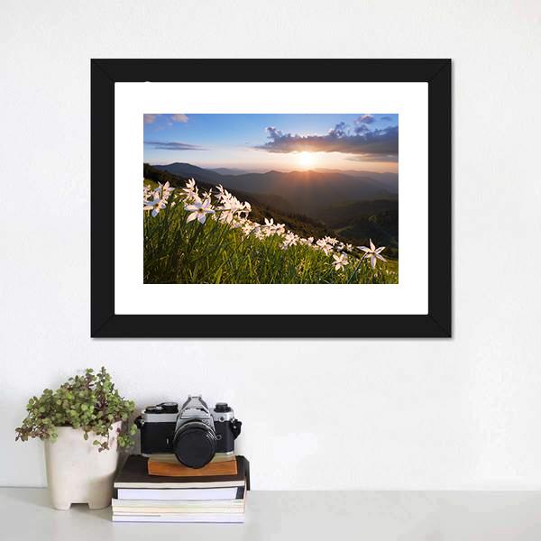 Daffodils On Mountain Canvas Wall Art-5 Horizontal-Gallery Wrap-22" x 12"-Tiaracle