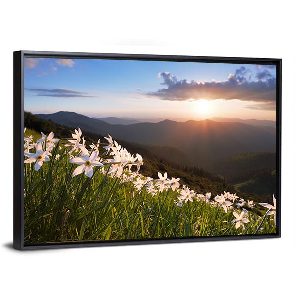 Daffodils On Mountain Canvas Wall Art-3 Horizontal-Gallery Wrap-25" x 16"-Tiaracle
